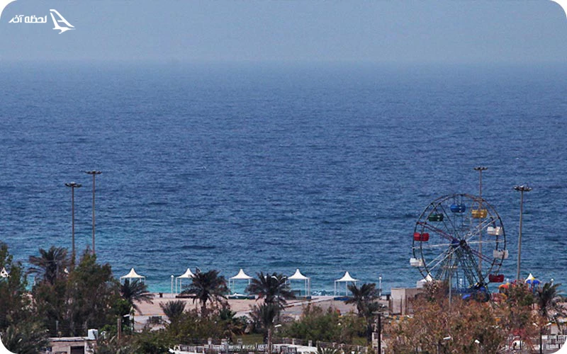 مساحت جزیره ابوموسی چقدر است؟