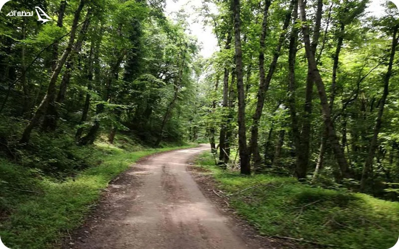 تنگه دار کجاست و مسیرهای دسترسی