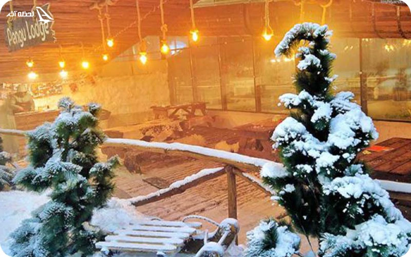 کافه معلق؛ کلبه‌ای کوچک و متحرک