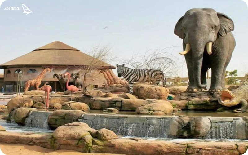 باغ وحش دبی باغ وحش دبی