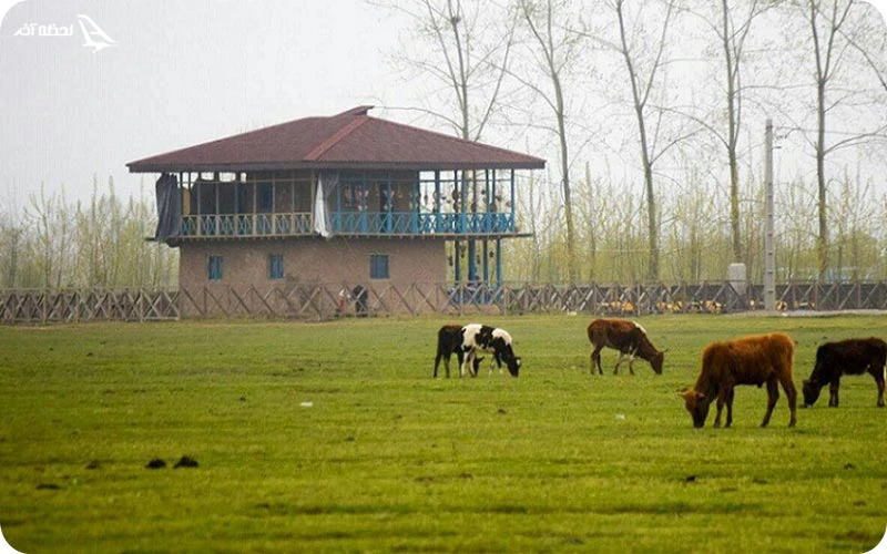 منطقه حفاظت شده آینالو؛ محل زندگی گوزن‌های بومی