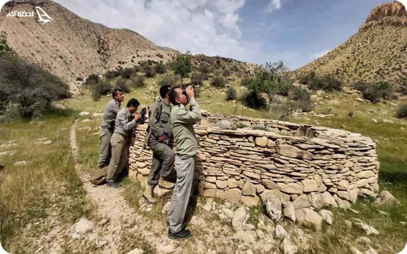 منطقه کوه سیاه؛ زیستگاه انواع گیاهان و جانوران