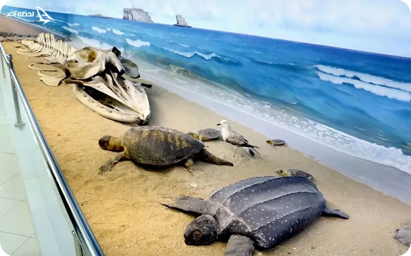 موزه ژئوپارک موزه ژئوپارک؛ میزبان بیش از ۳ هزار گونه جانوری