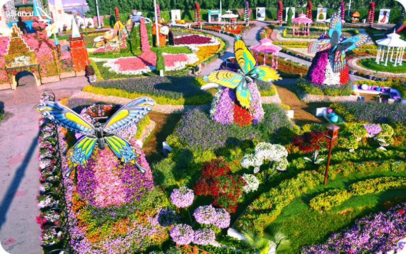 میراکل گاردن دبی کجاست؟