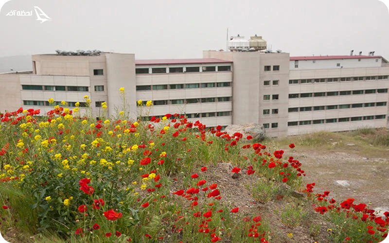 دلیل نام‌گذاری بام محک؛ طبیعت و نیکوکاری