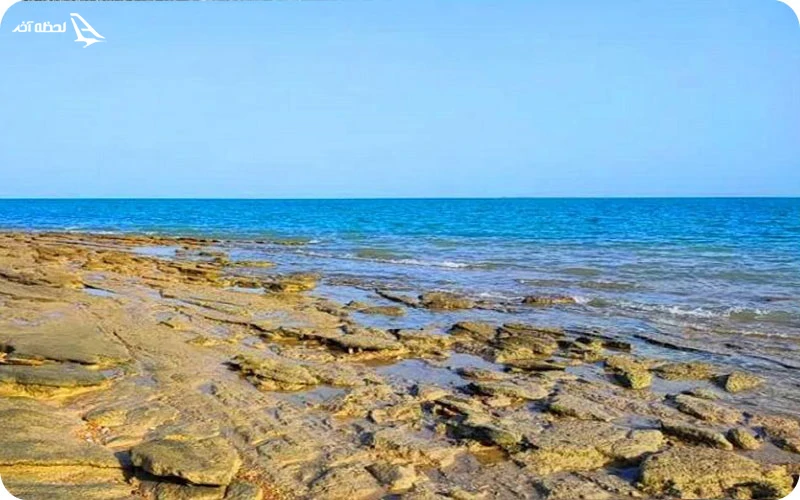 جزیره نخیلو؛ میزبان پرندگان زیبا