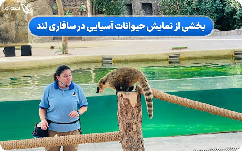 نمایشهای حیوانات نمایشهای حیوانات