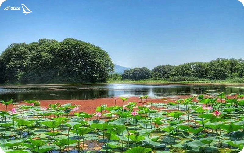 راهنمای بازدید از تالاب سوستان نکات مهم بازدید از تالاب سوستان