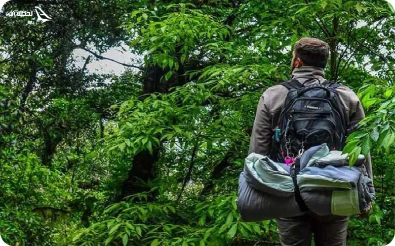 هیجان پیادهروی در پارک تامان نگارا پیادهروی در تامان نگارا؛ لذت و هیجان