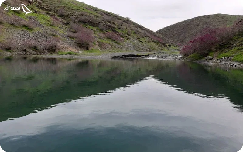 نکات مهم بازدید از دره ارغوان مشهد نکات مهم بازدید از دره ارغوان مشهد؛ بازدیدی ایمن و لذتبخش