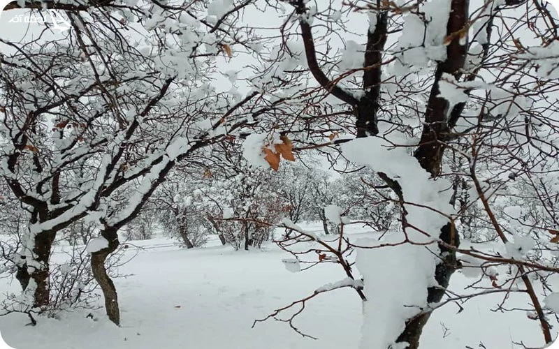 بهترین زمان سفر به ارسباران؛ حتماً لباس گرم بپوشید!