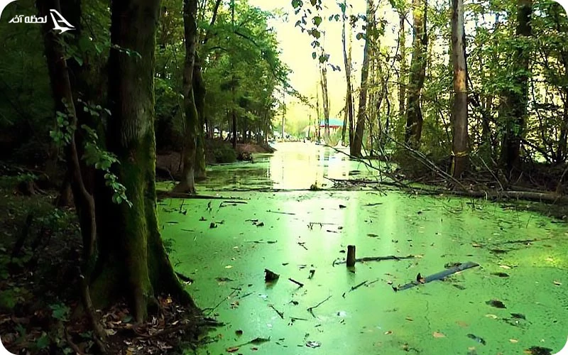 نکاتی که برای رفتن به پارک جنگلی سراوان باید درنظر بگیریم!