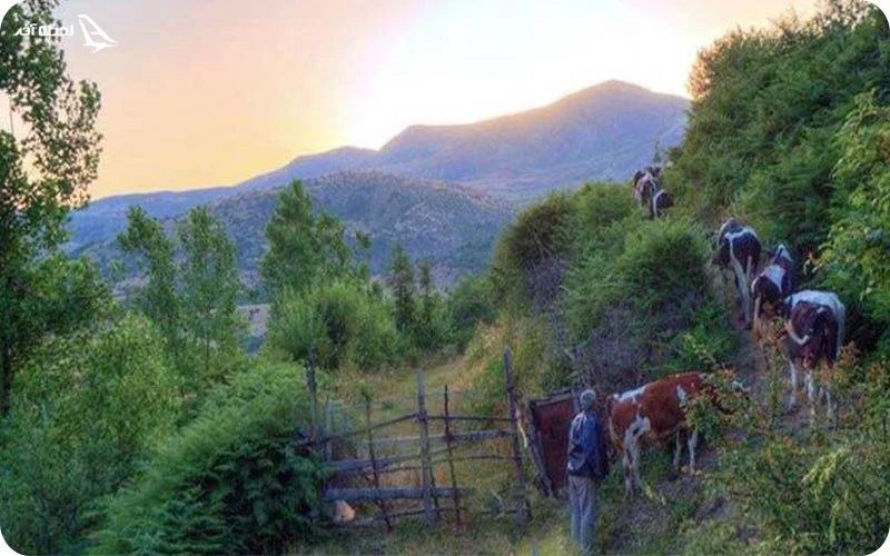 شرایط جوی روستای داماش وضعیت آب و هوایی روستای داماش رودبار