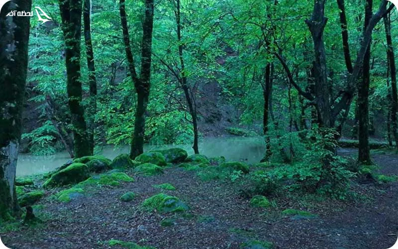 پارک جنگلی امام رضا؛ فضای سبز گسترده، دسترسی آسان و طبیعت چشم‌نواز