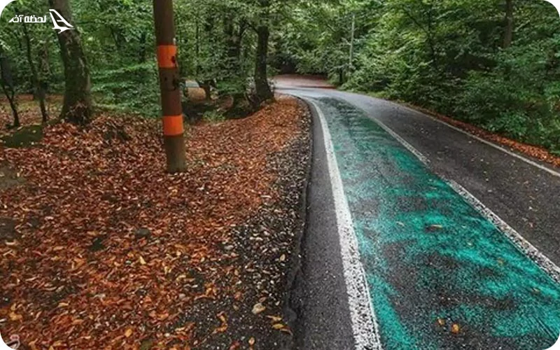 پارک جنگلی سوهانک پارک جنگلی سوهانک