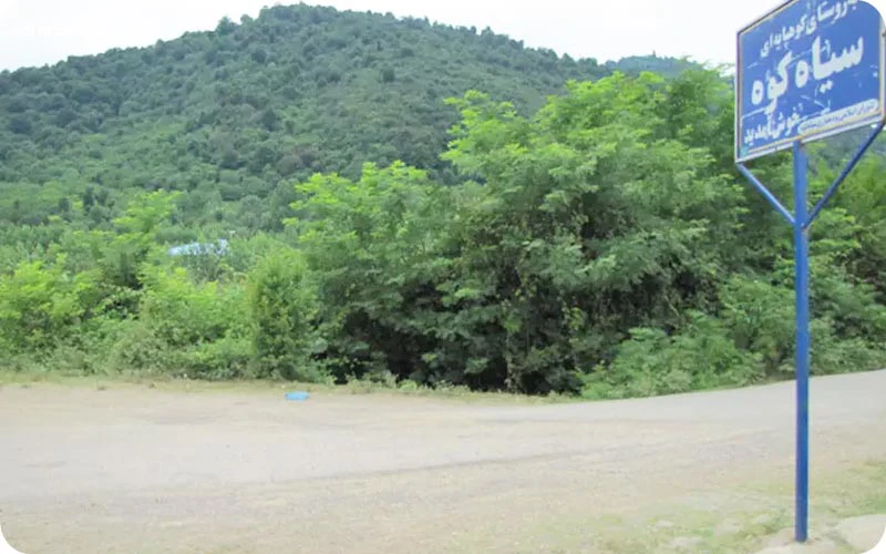 پارک جنگلی سیاه کوه پارک جنگلی سیاه کوه