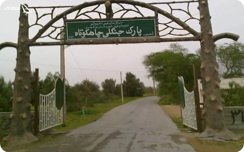 پارک جنگلی چاه کوتاه؛ تماشای طبیعت بکر در دل بوشهر