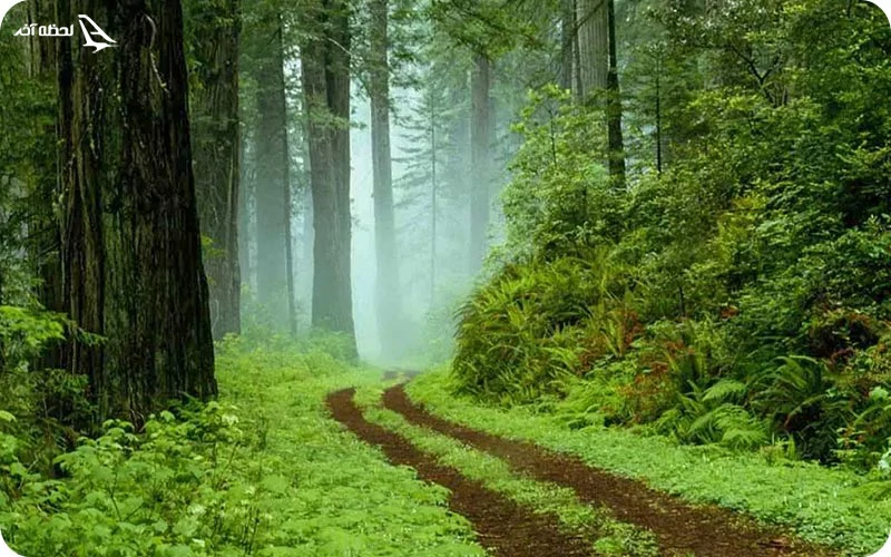 پارک جنگی سی سنگان