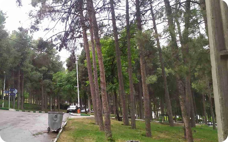 پارک شریعتی زیباییهای پارک شریعتی در فصل بهار