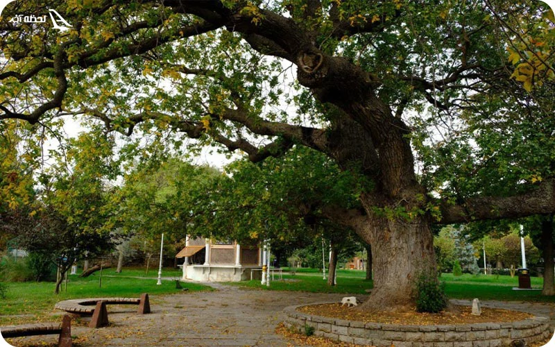 پارک فنرباغچه پارک فنرباغچه؛ تماشای مناظر طبیعی در دل استانبول