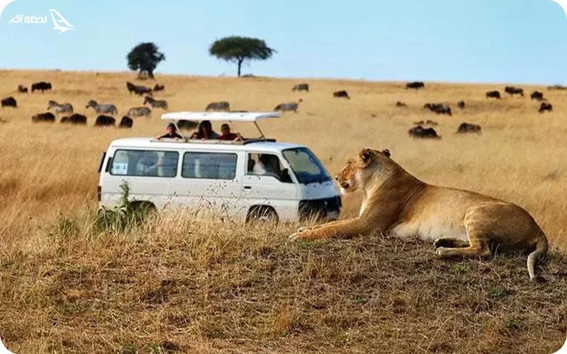 پارک ملی ماسای مارا کجاست؟ پارک ملی ماسای مارا کنیا