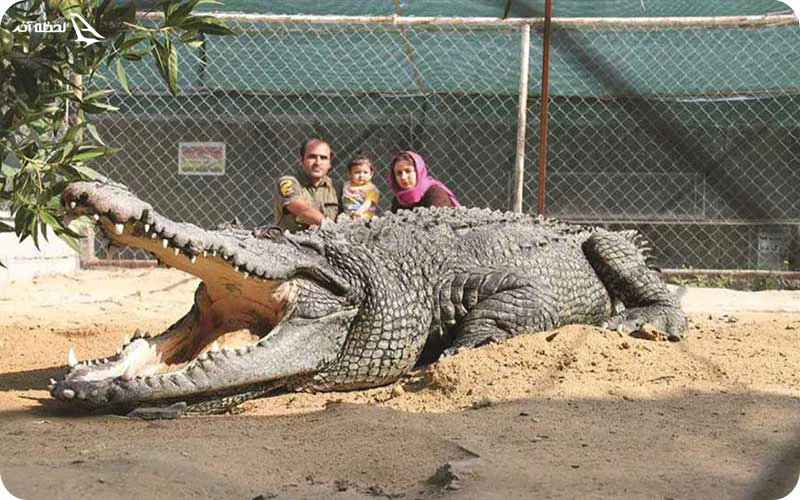 بوستان کروکدیل بوستان کروکدیل؛ بزرگترین پارک کروکدیل خاورمیانه