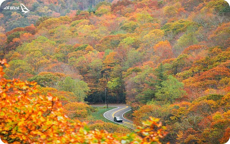 آب و هوای باتومی در پاییز ؛ بارانی و رنگارنگ