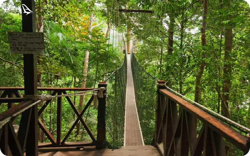 پل قفس؛ طولانی‌ترین پل معلق در جهان