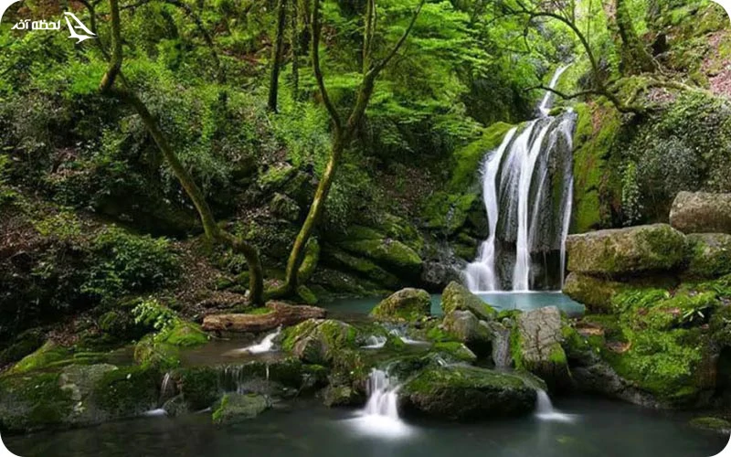 آشنایی با پوشش گیاهی و جانوری آبشار شیرآباد پوشش گیاهی و جانوری آبشار شیرآباد