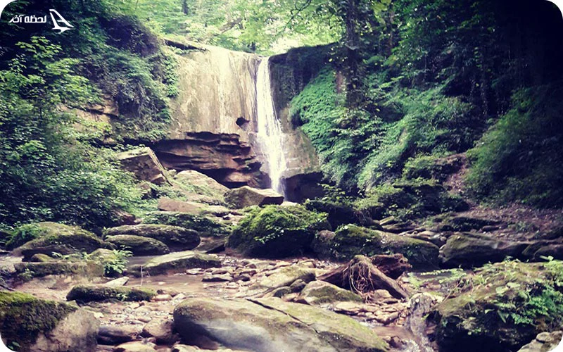 آشنایی با پوشش گیاهی و جانوری آبشار گزو پوشش گیاهی و جانوری آبشار گزو