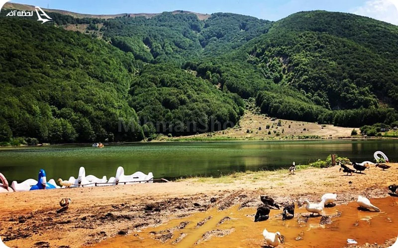 پوشش گیاهی و جانوری دریاچه ویستان پوشش گیاهی و جانوری دریاچه ویستان