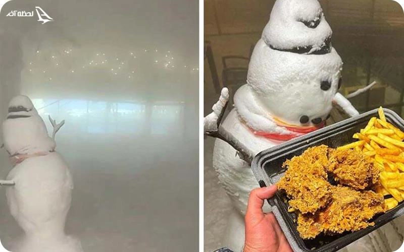 پینگو فود؛ انواع منوهای ایرانی و بین‌المللی