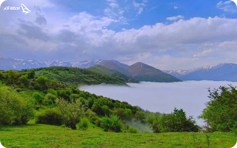 جنگل دوهزار تنکابن جنگل دوهزار تنکابن