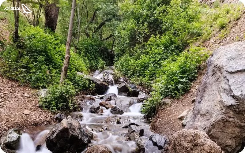 چشمه جهان؛ مقصدی برای آب‌بازی و تفریح