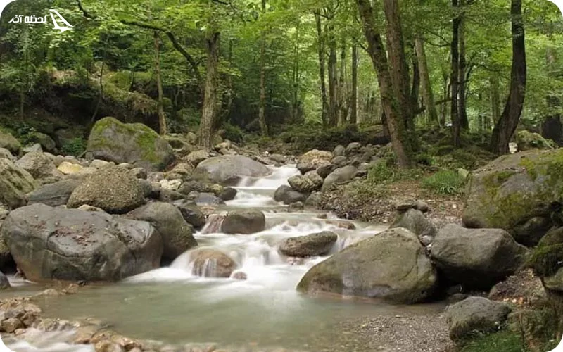 چشمه‌های جواهرده