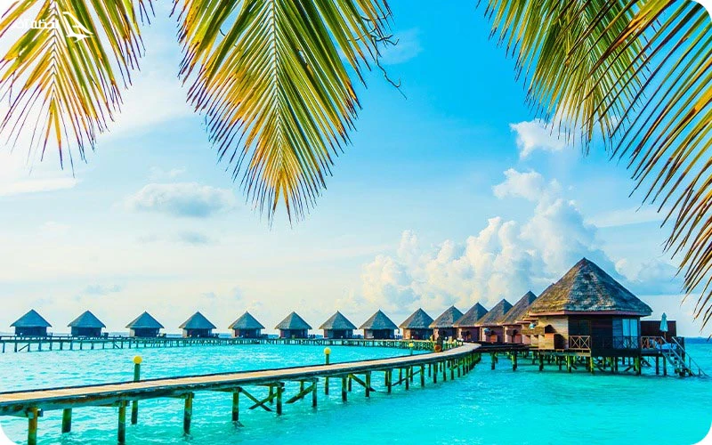 تور کیش بهمن ارزان‌