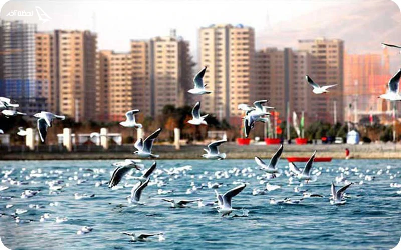 پارک جنگلی و دریاچه چیتگر؛ پاتوقی برای دوچرخه‌سواری و پیک‌نیک