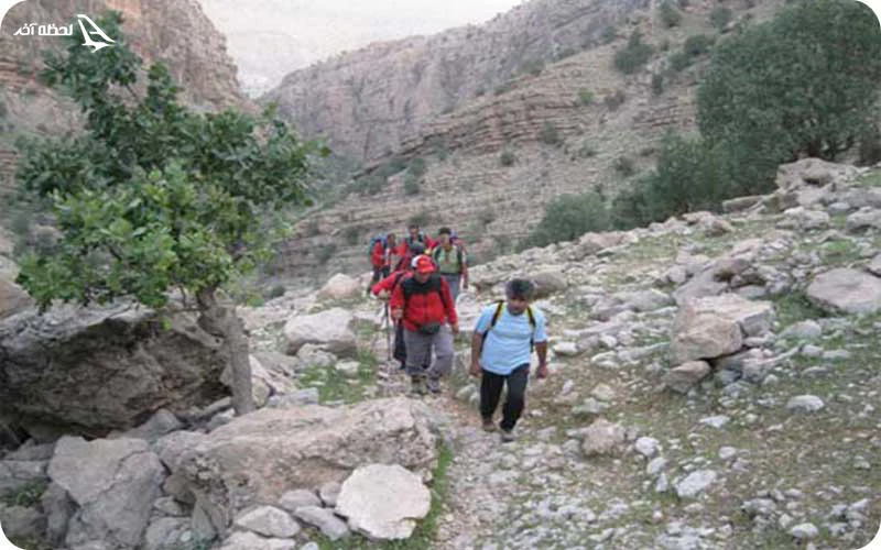 کوه منگشت کوه منگشت؛ زیستگاه گونههای نادر در زاگرس