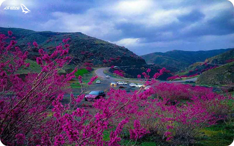 دره ارغوان مشهد دره ارغوان