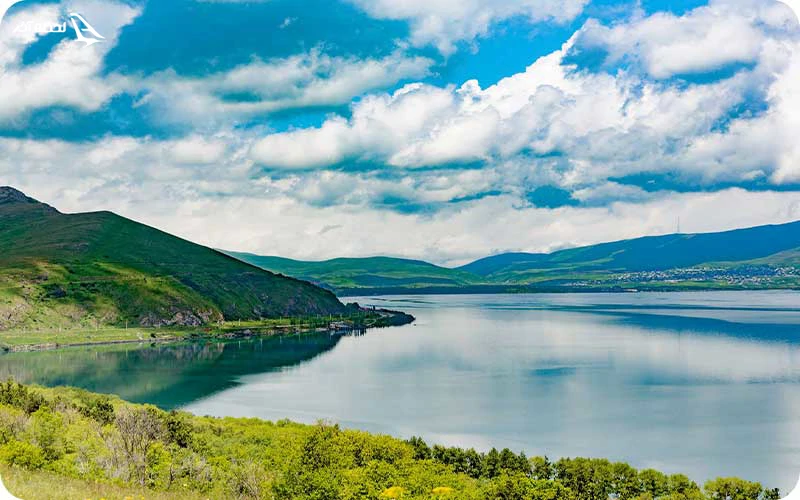 پوشش گیاهی و جانواری دریاچه سوان؛ گونه‌های خاصی از جانوران