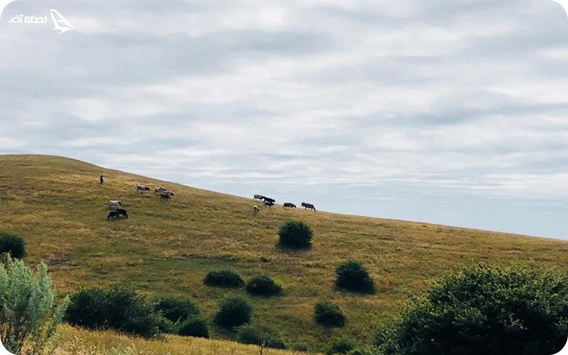 زیستگاه جانوران متعدد زیستگاه جانوران متعدد