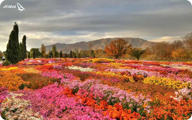 باغ گیاه‌شناسی؛ تجربه‌ای آموزشی و تفریحی برای علاقه‌مندان به طبیعت