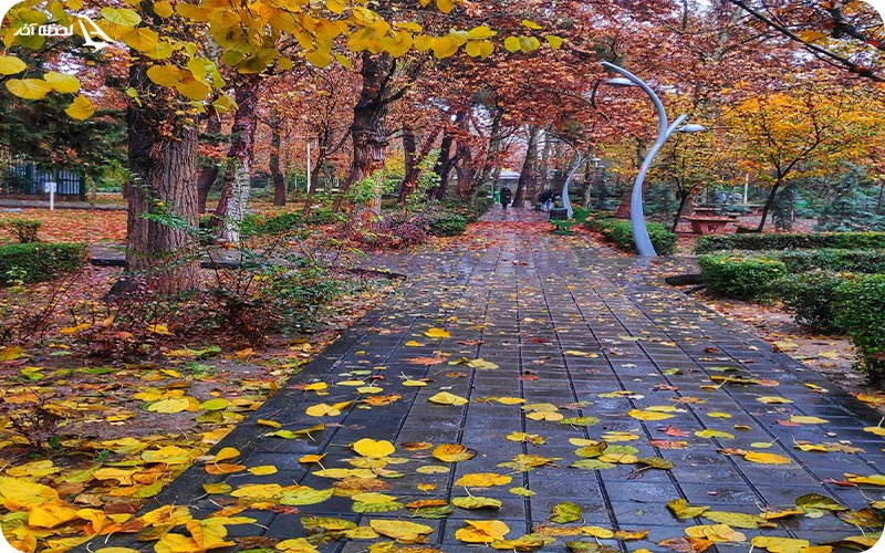 پوشش گیاهی ارزشمند بوستان لاله پوشش گیاهی پارک لاله