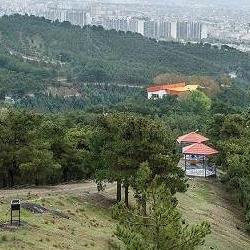 پارک جنگلی لویزان
