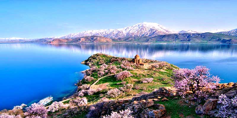 دریاچه سوان