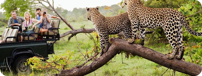 رزرو تور آفریقا