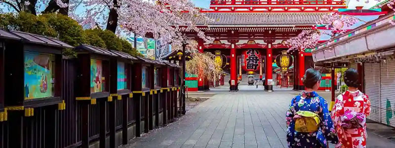 رزرو تور ژاپن