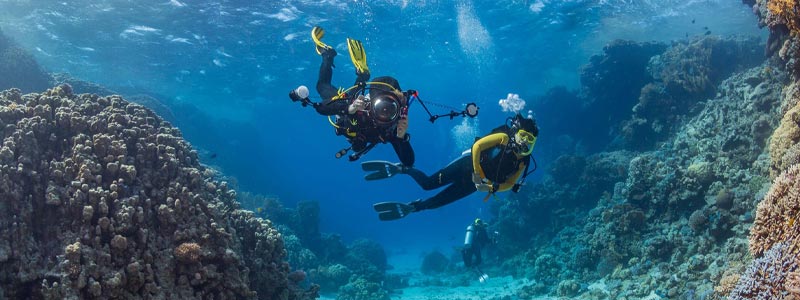 رزرو تور کیش از تبریز