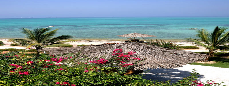 رزرو تور کیش از رشت