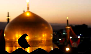 تور مشهد هوایی 